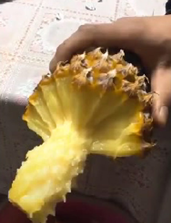 فيديو كيف تأكل الأناناس بطريقة جديدة يثير ضجة على مواقع التواصل صورة رقم 2