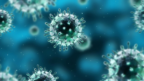 منظمة الصحة العالمية تحذر من انتشار فيروس الإنفلونزا والدمار القاتل! صورة رقم 4