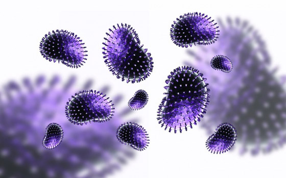 منظمة الصحة العالمية تحذر من انتشار فيروس الإنفلونزا والدمار القاتل! صورة رقم 6