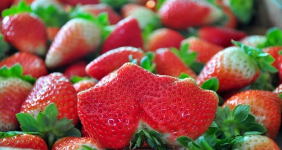  10 أنواع  من الفاكهة ذات مفعول سحري لخفض الوزن صورة رقم 5