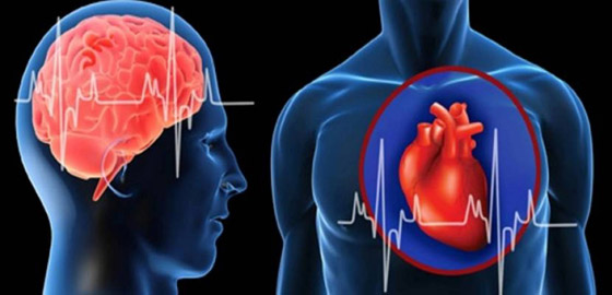 دراسة حديثة: ما يضر القلب يضر المخ صورة رقم 1