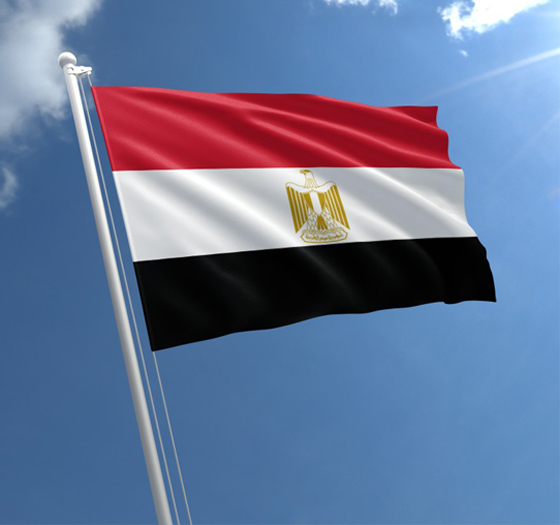 مصر: أهم النقاط في التعديلات الدستورية المثيرة للجدل صورة رقم 12