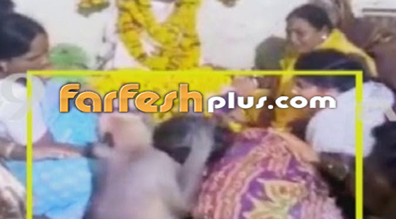  فيديو مؤثر: قرد يعزي امرأة باكية في جنازة صورة رقم 1