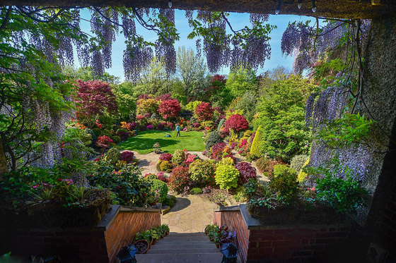 صور خلابة: زوجان يزرعان حديقة منزلهما مدة 37 عاما والنتيجة خيالية! صورة رقم 6