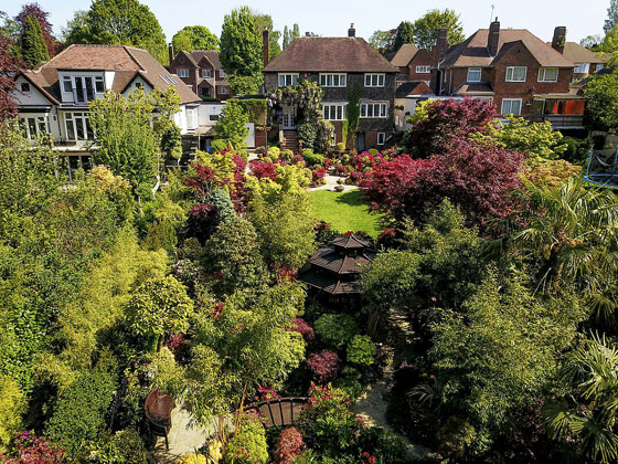 صور خلابة: زوجان يزرعان حديقة منزلهما مدة 37 عاما والنتيجة خيالية! صورة رقم 10