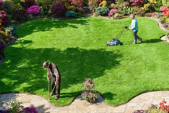 صور خلابة: زوجان يزرعان حديقة منزلهما مدة 37 عاما والنتيجة خيالية! صورة رقم 11