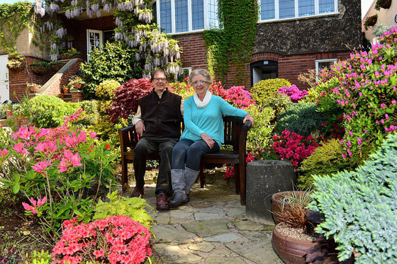 صور خلابة: زوجان يزرعان حديقة منزلهما مدة 37 عاما والنتيجة خيالية! صورة رقم 19