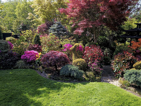 صور خلابة: زوجان يزرعان حديقة منزلهما مدة 37 عاما والنتيجة خيالية! صورة رقم 25