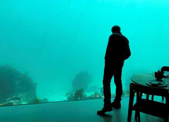 بالفيديو والصور: مطعم مدهش أسفل سطح البحر صورة رقم 9