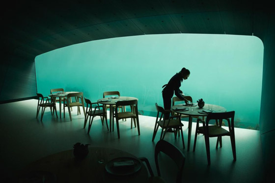 بالفيديو والصور: مطعم مدهش أسفل سطح البحر صورة رقم 1