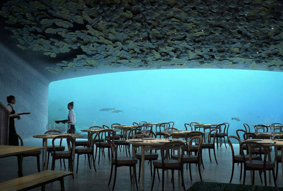 بالفيديو والصور: مطعم مدهش أسفل سطح البحر صورة رقم 4