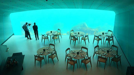 بالفيديو والصور: مطعم مدهش أسفل سطح البحر صورة رقم 6