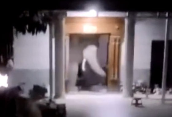 بالفيديو.. فيل بري جائع وغاضب يهاجم مطعما صينيا بحثا عن الطعام! صورة رقم 4
