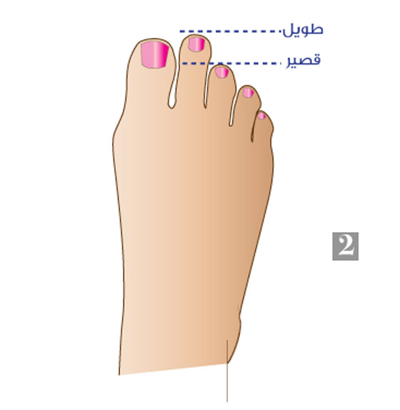  صورة رقم 2 - أصابع قدميك تكشف الكثير عن شخصيتك وصفاتك التي قد تثير دهشتك..!