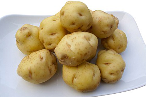 بالفيديو: لماذا تعتبر هذه البطاطس الفرنسية الأغلى بالعالم؟ ما يميزها؟ صورة رقم 8