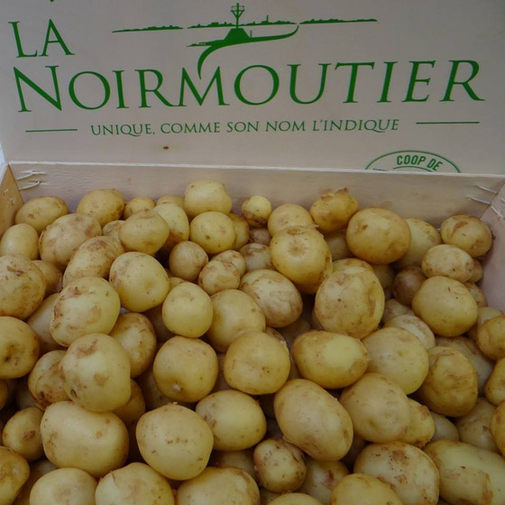 بالفيديو: لماذا تعتبر هذه البطاطس الفرنسية الأغلى بالعالم؟ ما يميزها؟ صورة رقم 9