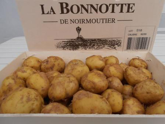 بالفيديو: لماذا تعتبر هذه البطاطس الفرنسية الأغلى بالعالم؟ ما يميزها؟ صورة رقم 11