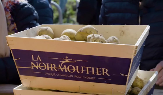 بالفيديو: لماذا تعتبر هذه البطاطس الفرنسية الأغلى بالعالم؟ ما يميزها؟ صورة رقم 1