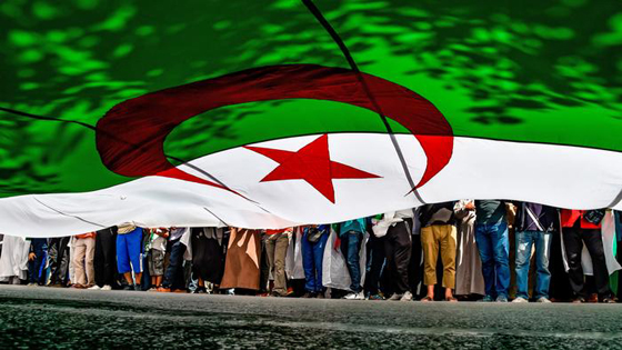 ما الهدف من وراء قرار إلغاء الانتخابات في الجزائر؟! صورة رقم 1