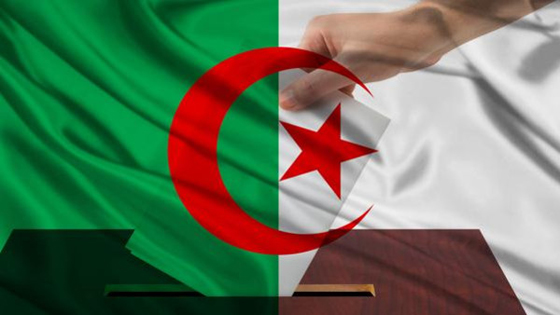 ما الهدف من وراء قرار إلغاء الانتخابات في الجزائر؟! صورة رقم 7