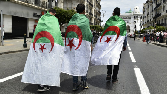 ما الهدف من وراء قرار إلغاء الانتخابات في الجزائر؟! صورة رقم 8