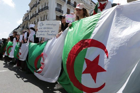 ما الهدف من وراء قرار إلغاء الانتخابات في الجزائر؟! صورة رقم 10