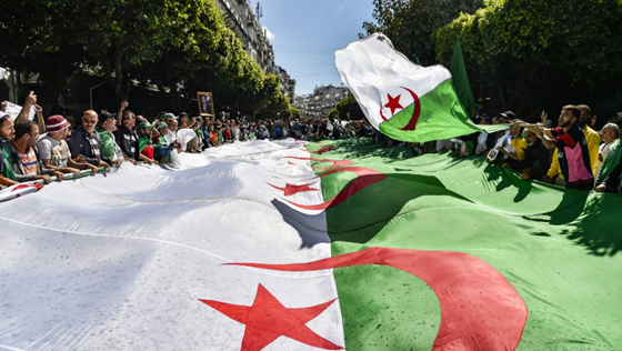 ما الهدف من وراء قرار إلغاء الانتخابات في الجزائر؟! صورة رقم 11