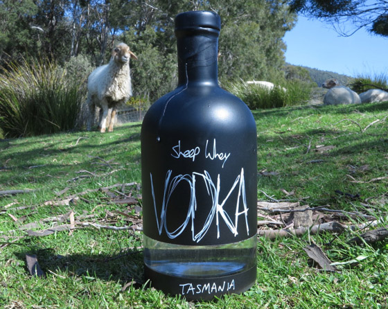 عائلة أسترالية تصنع مشروب فودكا من لبن الأغنام! كيف يتم ذلك؟ فيديو صورة رقم 1