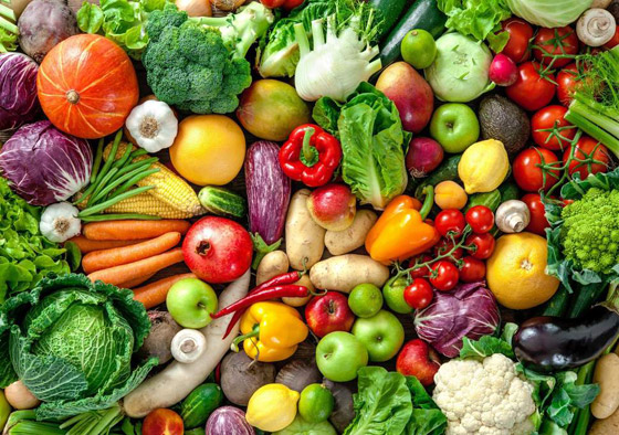نصائح وفوائد مذهلة لاتباع نظام غذائي نباتي من أجل تحسين الصحة والبيئة صورة رقم 3