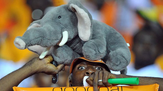 ما السبب وراء ألقاب الحيوانات للفرق الأفريقية في كأس الأمم الأفريقية؟ صورة رقم 2