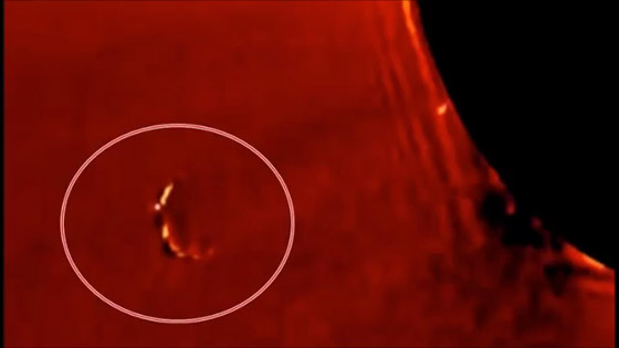 بالفيديو: ناسا ترصد جسما غريبا قرب الشمس  صورة رقم 1