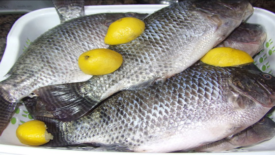 تناولوا السمك 3 مرات أسبوعياً يقلل خطر الإصابة بهذا المرض صورة رقم 4