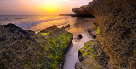 بالصور: أجمل الشواطئ العربية الراقية والنظيفة لقضاء وقت صيفي ممتع صورة رقم 6