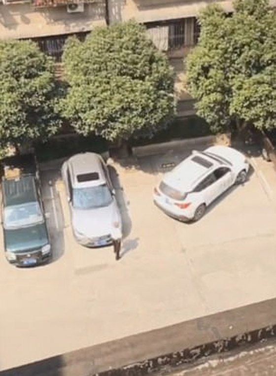 فيديو محرج: رجل يفشل 15 مرة في إيقاف سيارته بمكانها المحدد! صورة رقم 7
