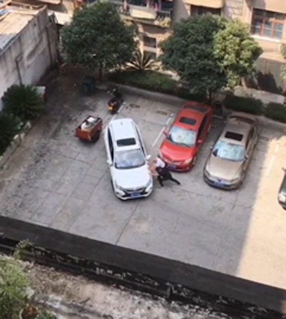 فيديو محرج: رجل يفشل 15 مرة في إيقاف سيارته بمكانها المحدد! صورة رقم 6