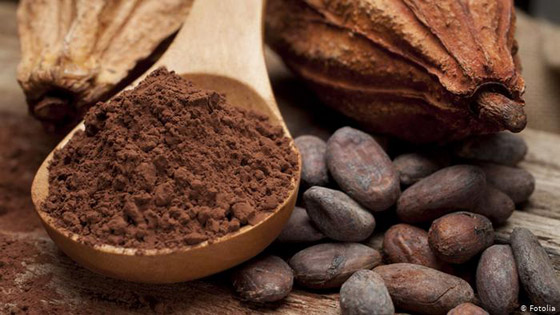 اليوم العالمي للشوكولاتة: الكاكاو المجبول بالاستغلال والفقر والألم صورة رقم 1
