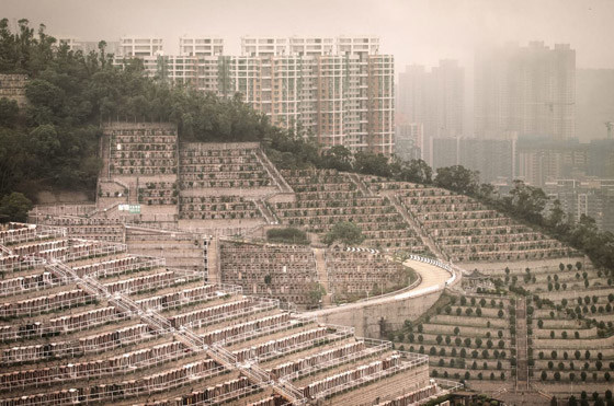 لن تصدق عينيك: مصور يبرز مقابر ساحة الموتى الكثيفة في هونغ كونغ! صورة رقم 5