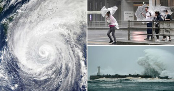 إعصار اليابان.. عدد القتلى بازدياد وتحذير للملايين بالإجلاء صورة رقم 11