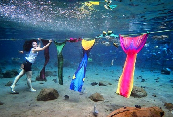 لالتقاط صور غريبة تحت الماء... بحيرة في قرية إندونيسية تتحول إلى مزار سياحي شهير (صور) صورة رقم 13