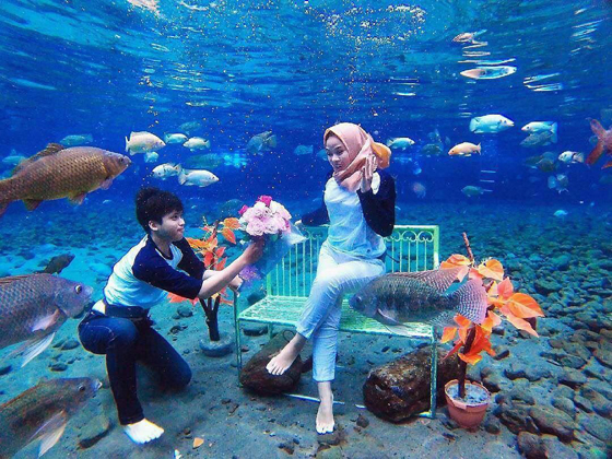 لالتقاط صور غريبة تحت الماء... بحيرة في قرية إندونيسية تتحول إلى مزار سياحي شهير (صور) صورة رقم 15