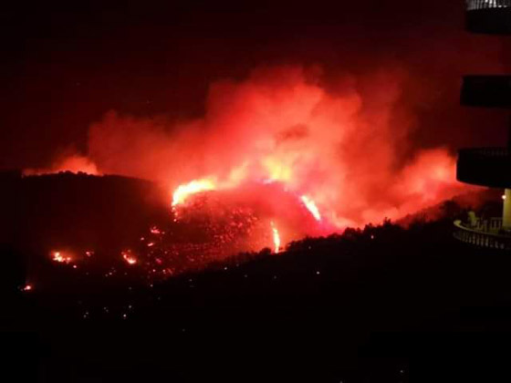 فيديوهات مؤلمة تدمي القلب.. لبنان يحترق والإطفاء خارج الخدمة! صورة رقم 1