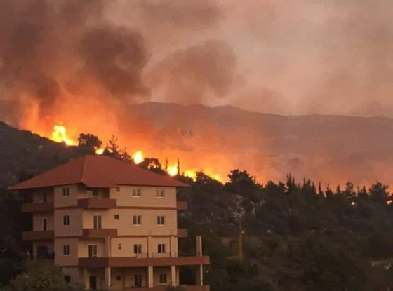 فيديوهات مؤلمة تدمي القلب.. لبنان يحترق والإطفاء خارج الخدمة! صورة رقم 23