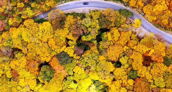 بالصور: الخريف يُلون أوروبا صورة رقم 1
