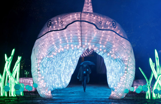 بالصور: مصابيح عملاقة على شكل حيوانات بحرية تتلألأ في باريس صورة رقم 1