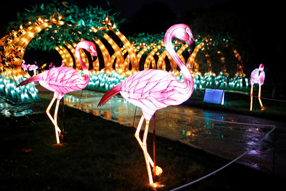 بالصور: مصابيح عملاقة على شكل حيوانات بحرية تتلألأ في باريس صورة رقم 2