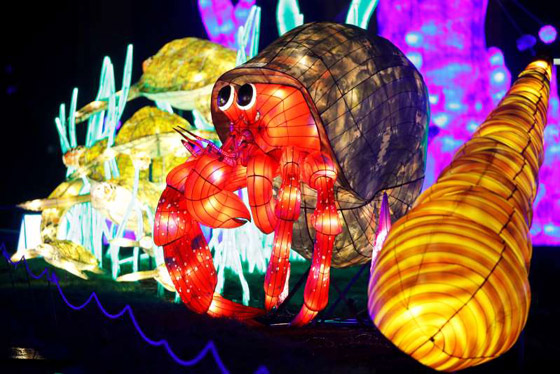 بالصور: مصابيح عملاقة على شكل حيوانات بحرية تتلألأ في باريس صورة رقم 5
