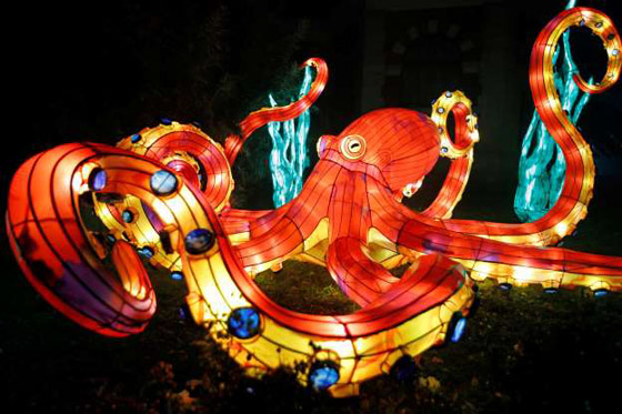 بالصور: مصابيح عملاقة على شكل حيوانات بحرية تتلألأ في باريس صورة رقم 6