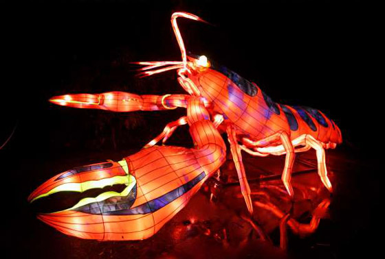 بالصور: مصابيح عملاقة على شكل حيوانات بحرية تتلألأ في باريس صورة رقم 8