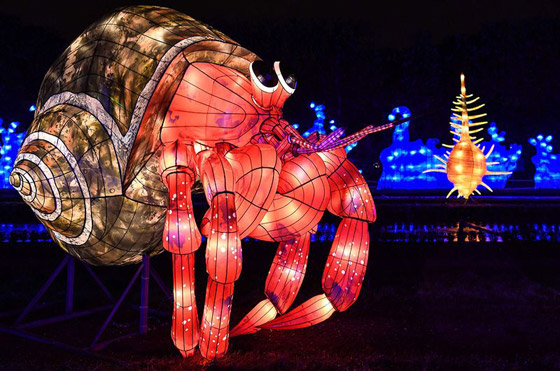 بالصور: مصابيح عملاقة على شكل حيوانات بحرية تتلألأ في باريس صورة رقم 12