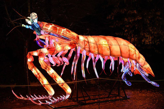 بالصور: مصابيح عملاقة على شكل حيوانات بحرية تتلألأ في باريس صورة رقم 13